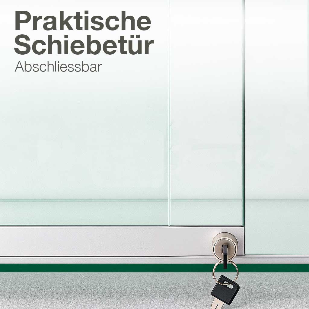 Kunstvitrine aus Glas